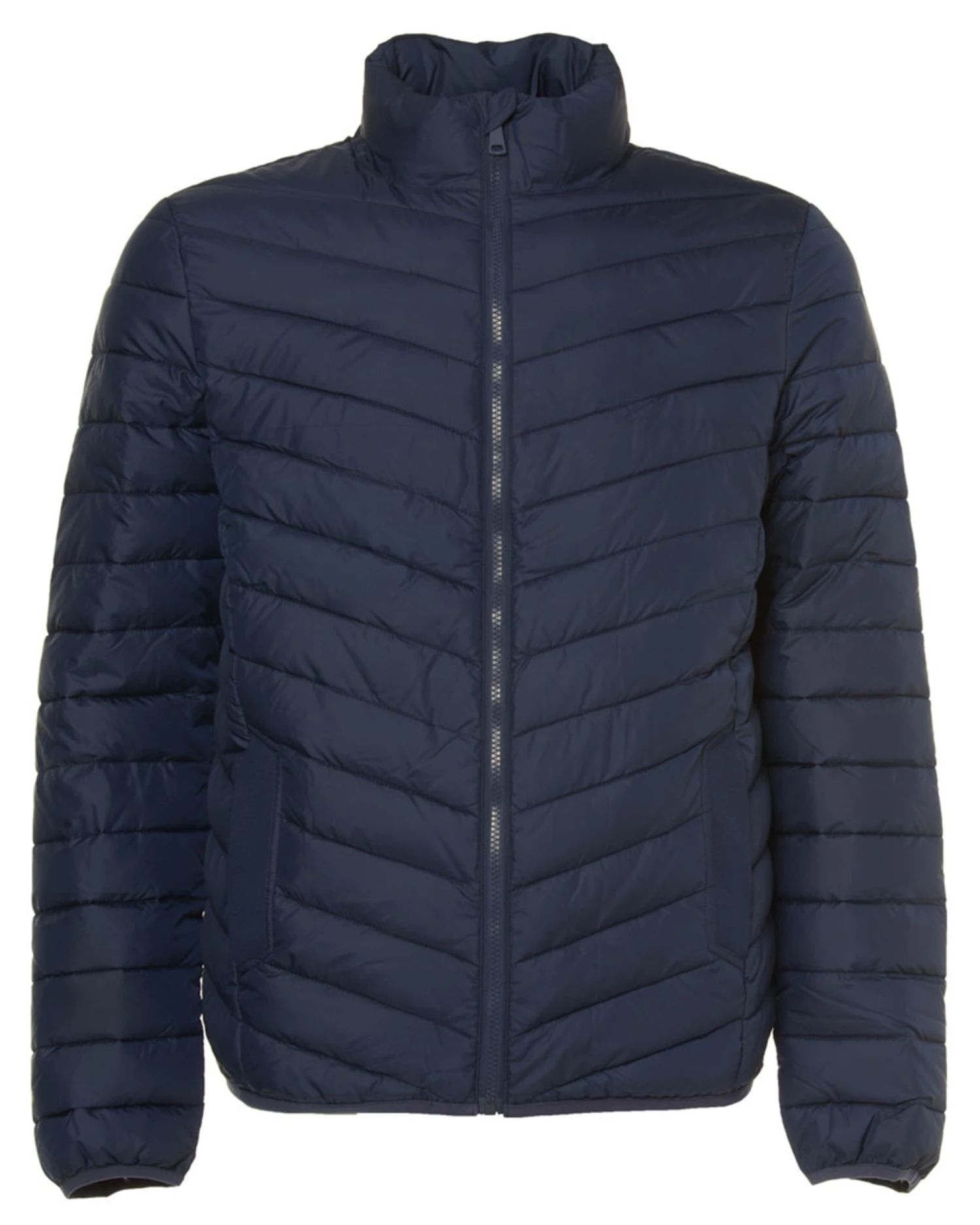 The BLUEPRINT Premium Gewatteerde Jas - Afbeelding 2