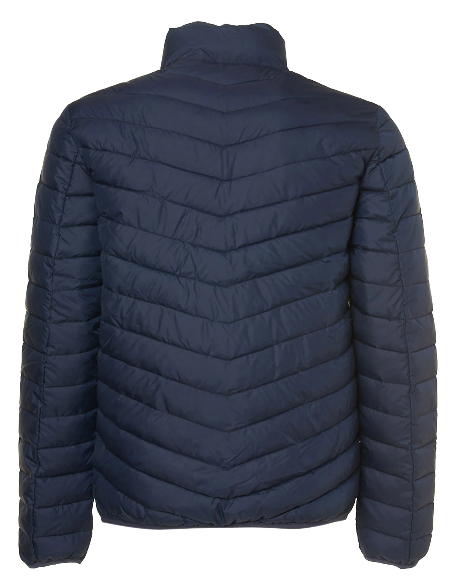 The BLUEPRINT Premium Gewatteerde Jas - Afbeelding 4